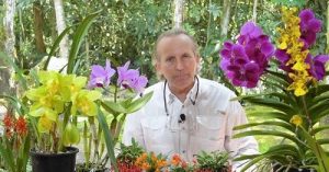 Plan anual - Todos los cursos