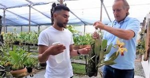 PLAN DE MANEJO: FERTILIZACIÓN, PLAGAS Y ENFERMEDADES