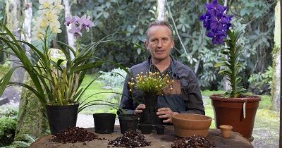 Resiembra 10 generos