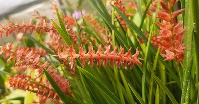 WhatsApp Image 2022-03-23 at 9.49.22 AM