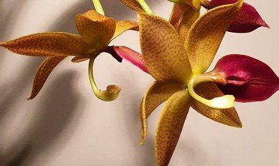 220594c7-d7e8-4db2-be87-653f4d7873f2