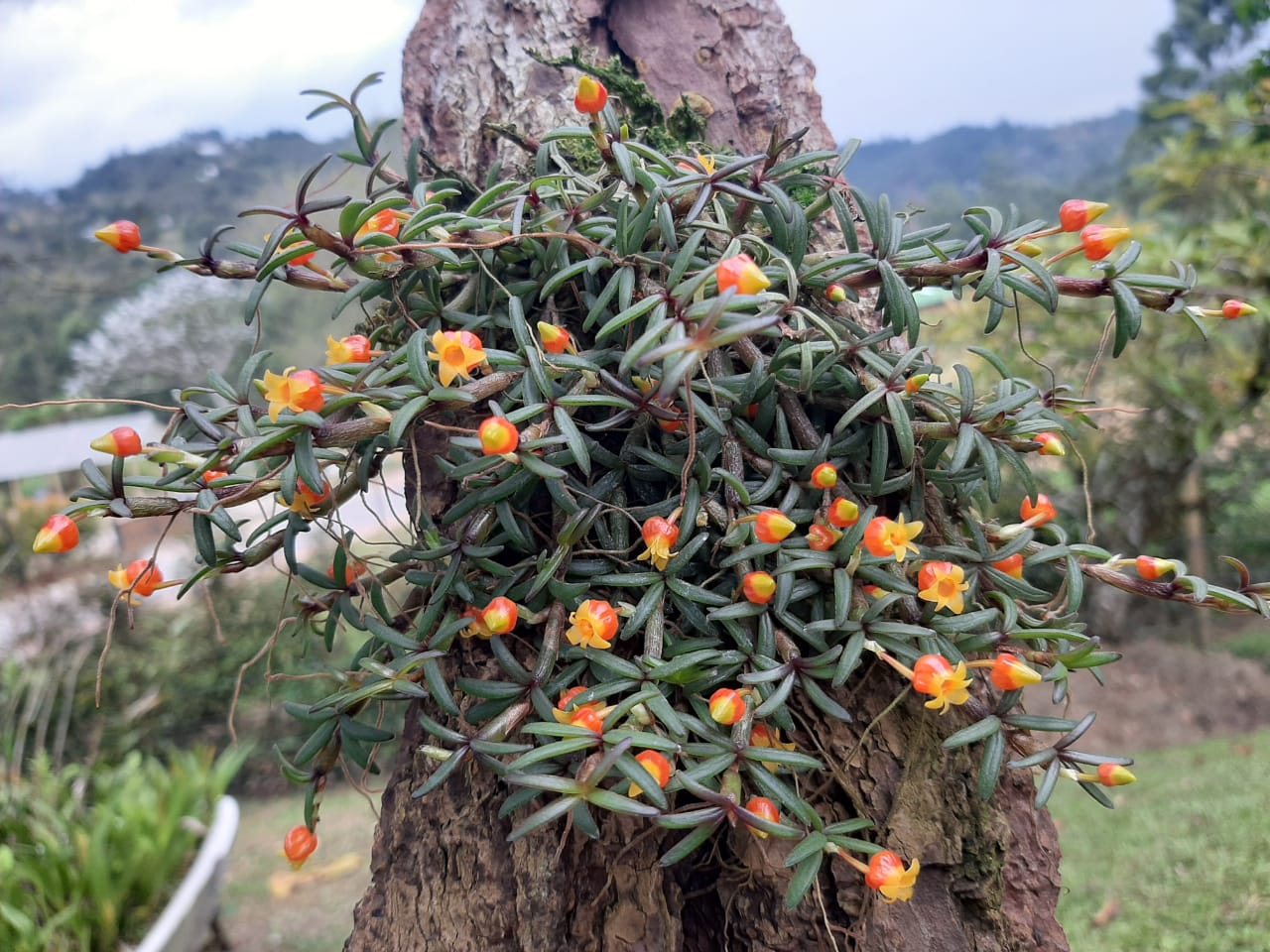 WhatsApp Image 2022-09-09 at 11.03.05 AM