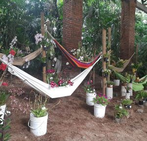 Exposición Caliorquideas