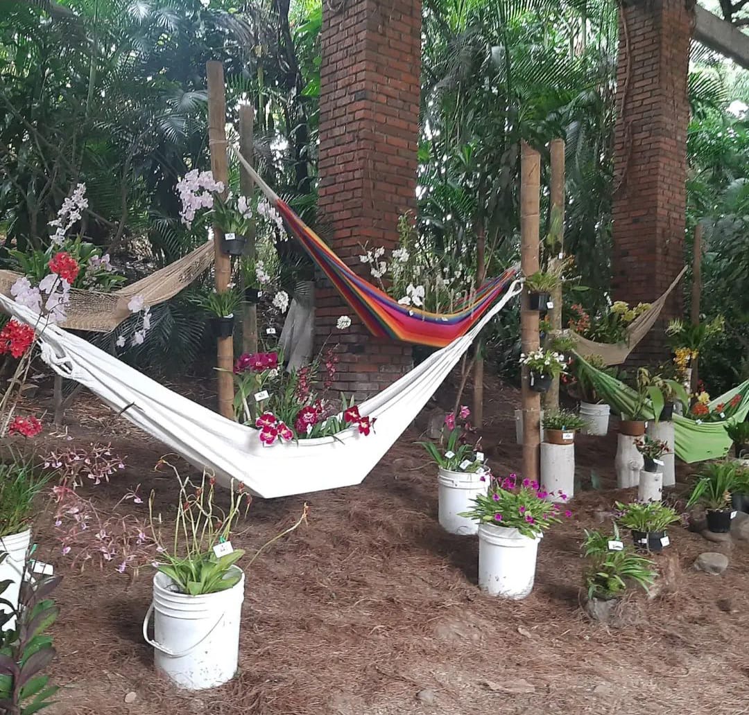 Exposición Caliorquideas