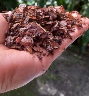 PH en sustratos y agua para orquídeas